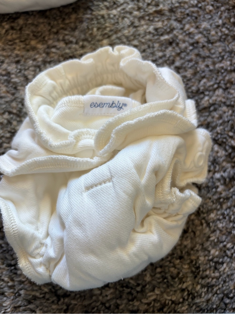Cloth Diaper lot -  Esembly and others with inserts and  Coverss - Picture 6 of 10
